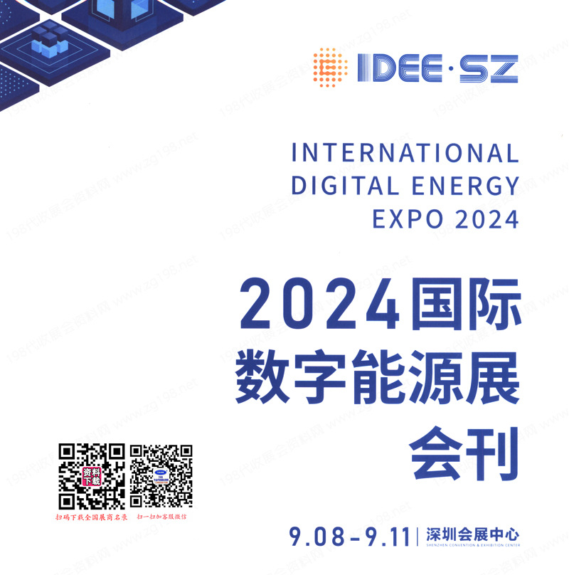 2024深圳IDEE国际数字能源展 (2)